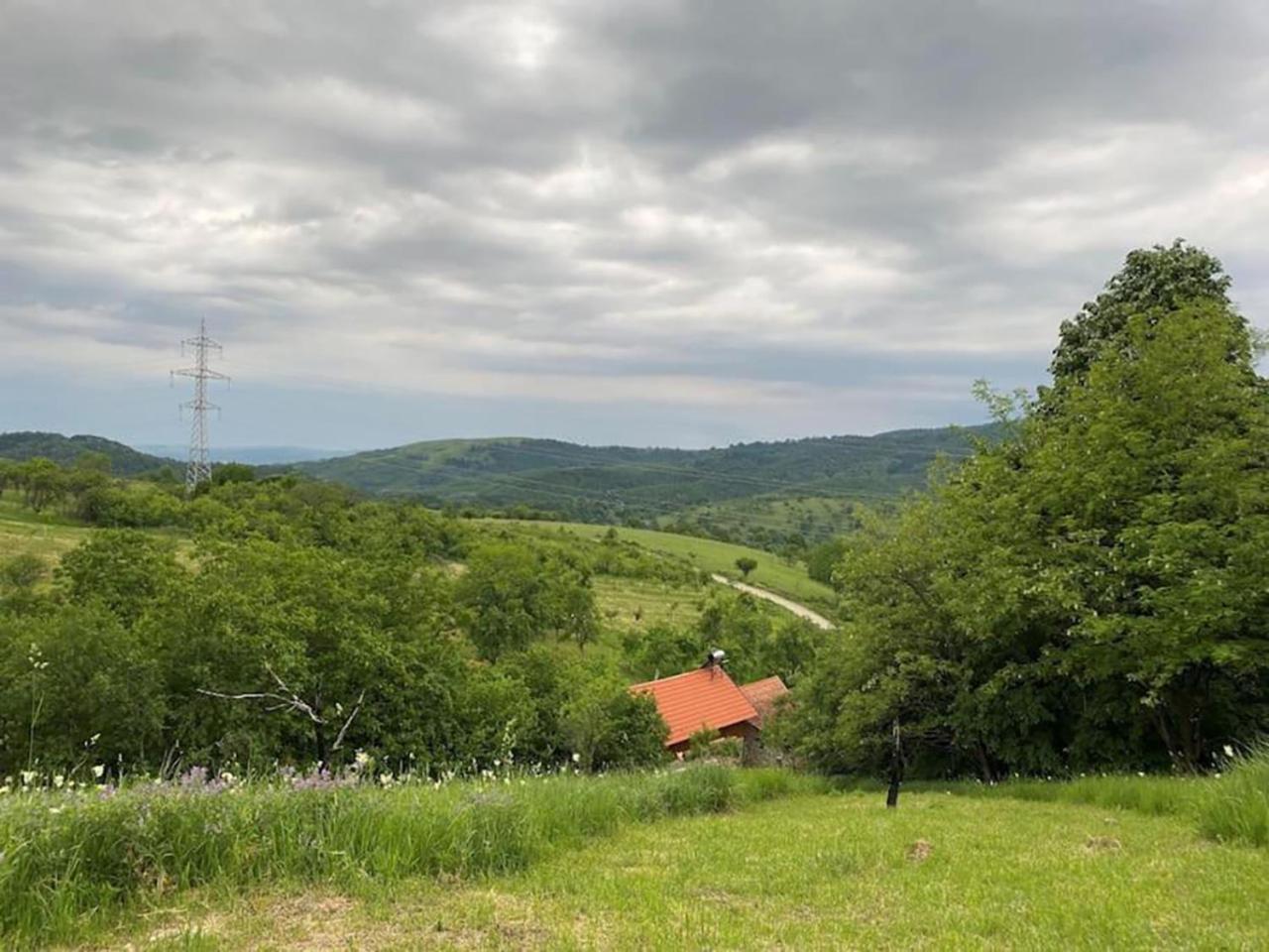 Salas U Bregu In Cheile Carasului Crasova Exterior photo